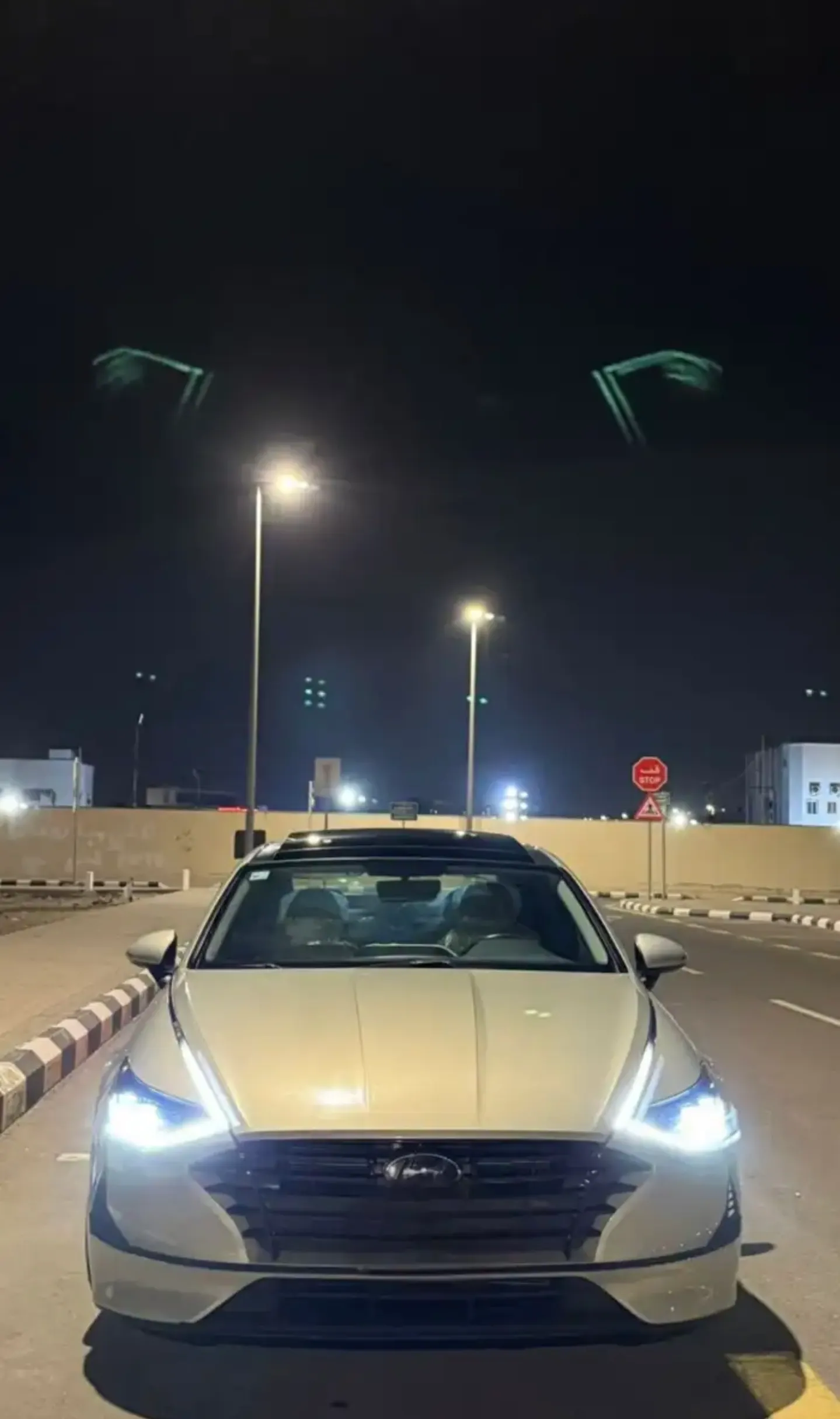 سوناتا 2020