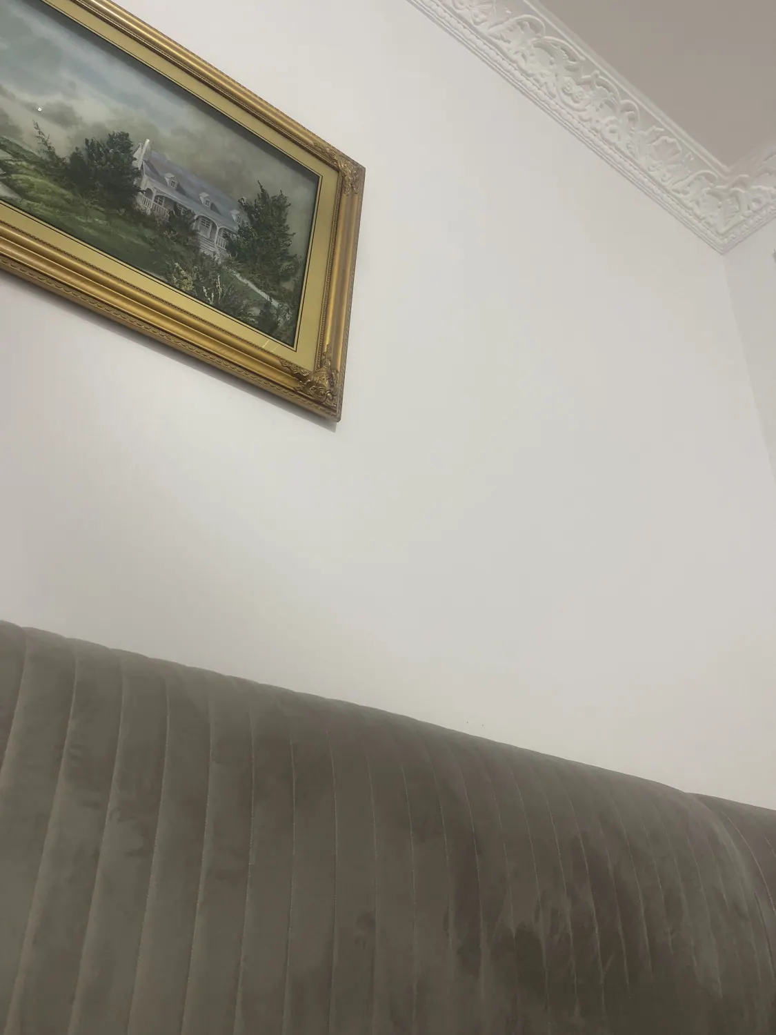 مطلوب شريك