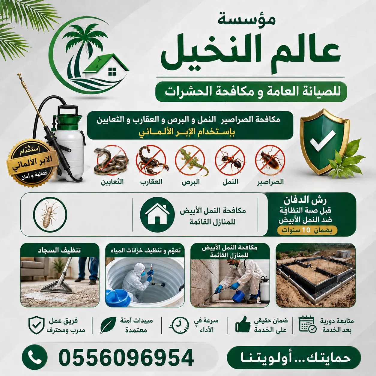 الرياض