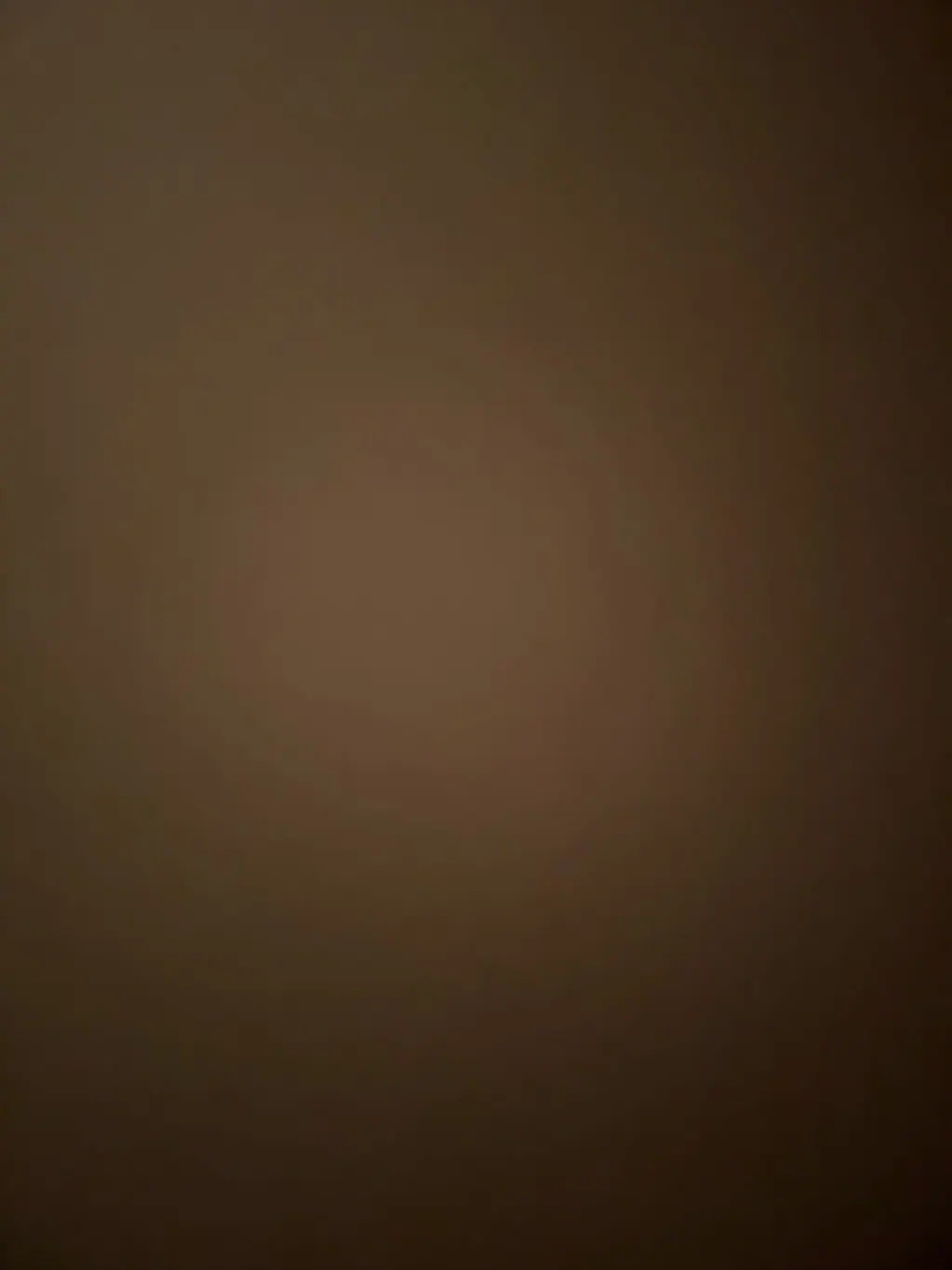 مشروع مطعم شاورما