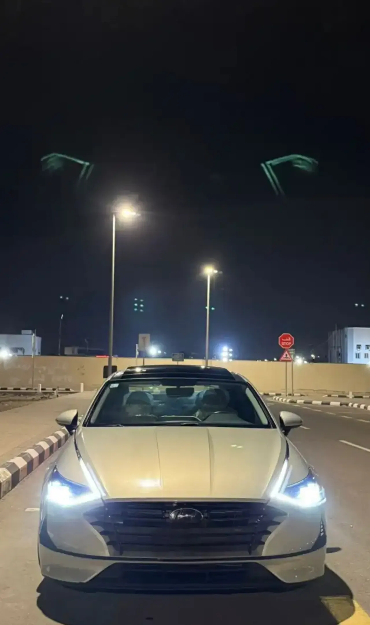 سوناتا 2020