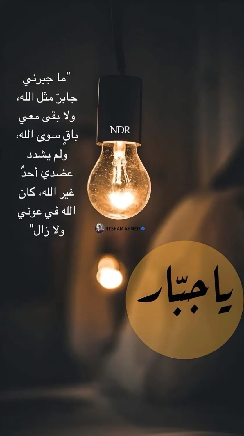 شركة لوجستية بترخيص سيارات