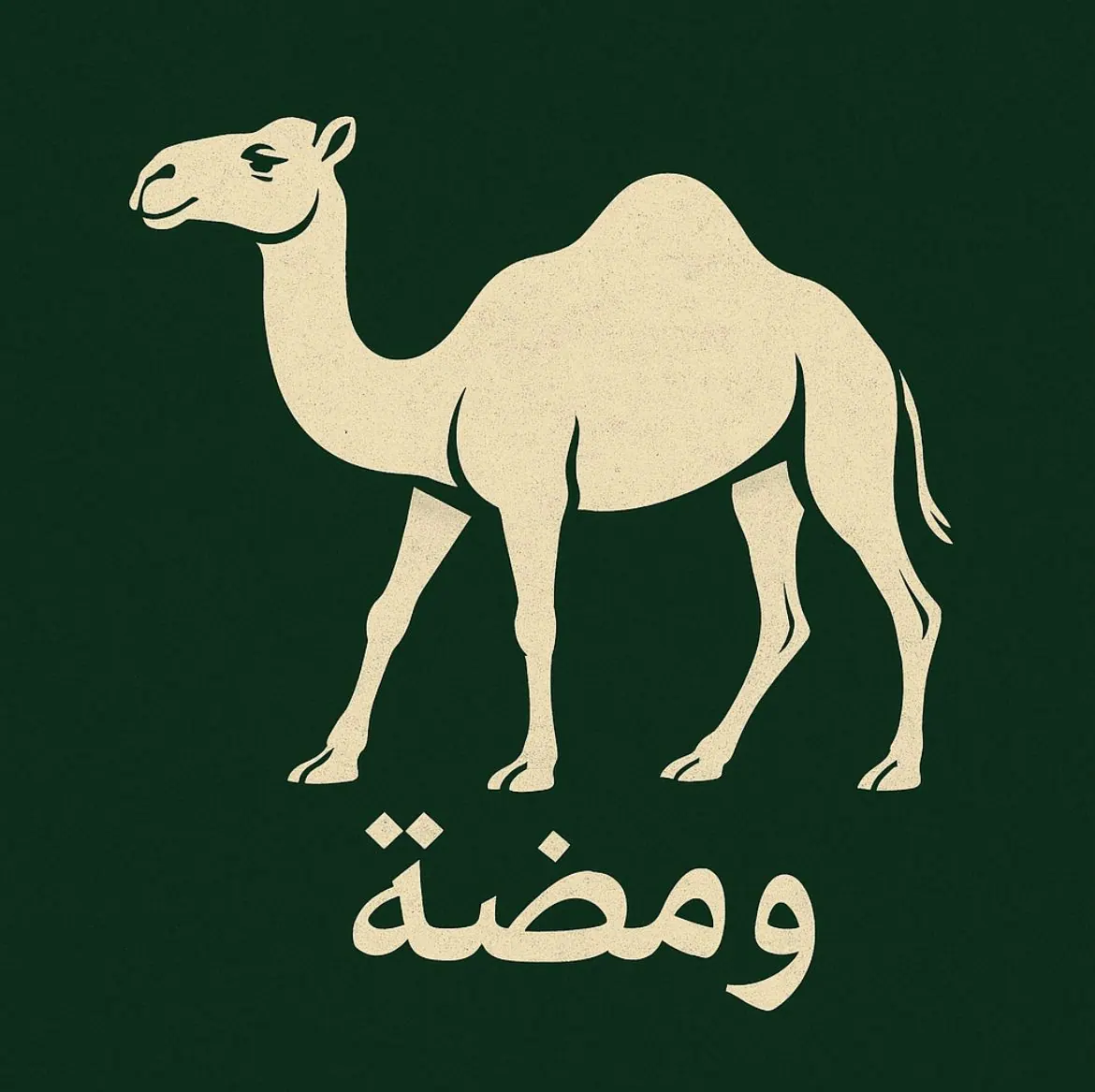 تطبيق سوشل ميديا (ومضة)