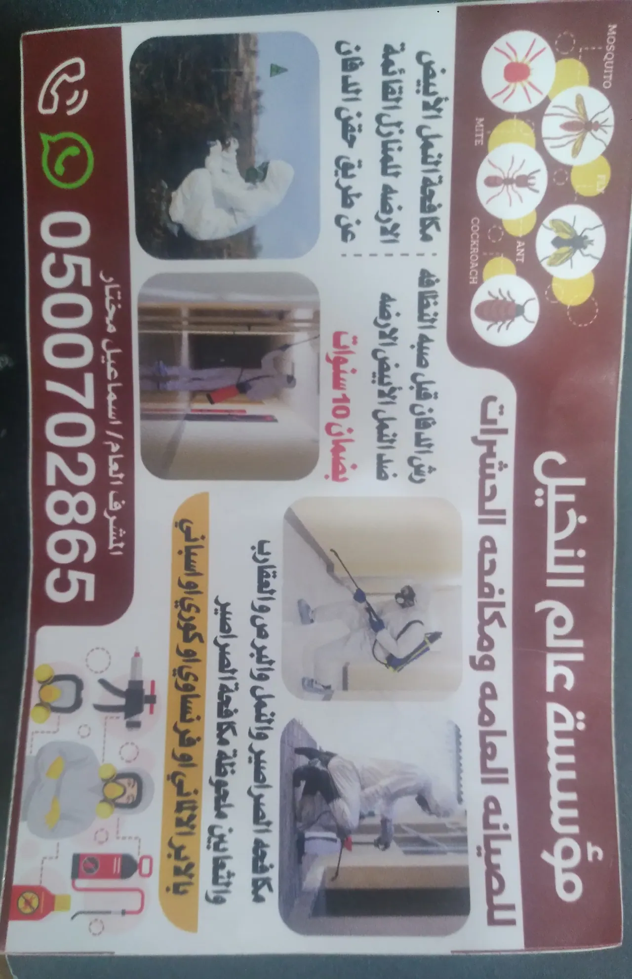 شارع سكرينة. حي المنفوحة الجديد.الرياض