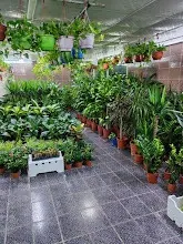 مطلوب ممول وشريك بمشروع زراعي