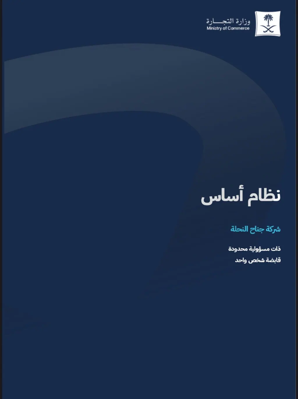 لدي سجل تجاري شركة جديد